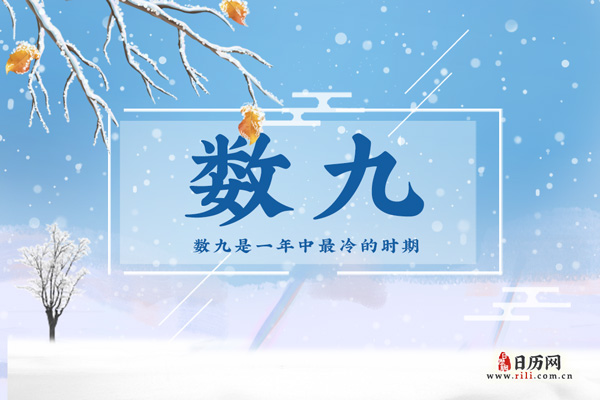 数九寒冬中的数九从什么时候开始