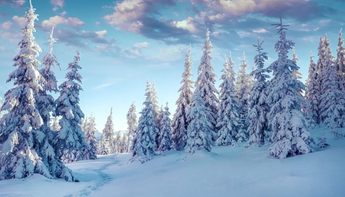 关于下大雪的诗句 表示下大雪的诗句唯美