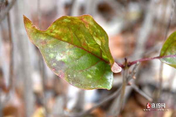 末伏还热吗一般多少度