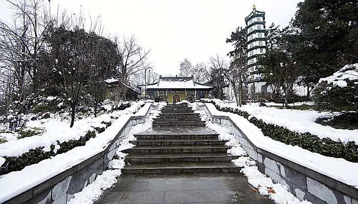 倒春寒为什么冷 倒春寒会很冷吗