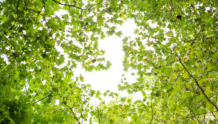 唐代寒食节禁火几天 唐代寒食节的禁火习俗