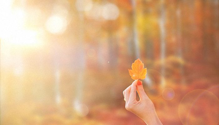 早立秋晚立秋的说法 早上立秋好还是下午立秋好