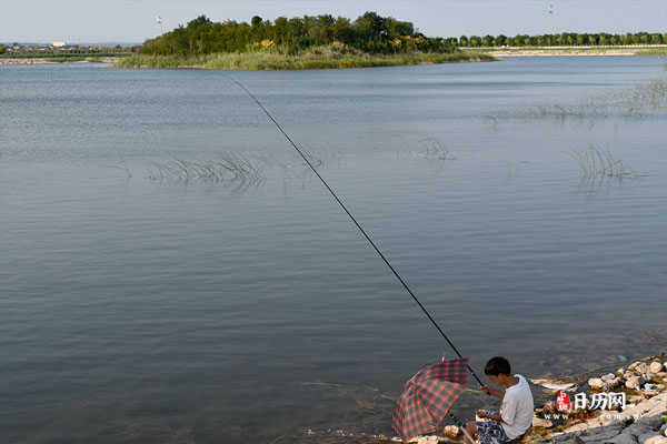 今日入中伏,今年中伏20天,直至8月14日