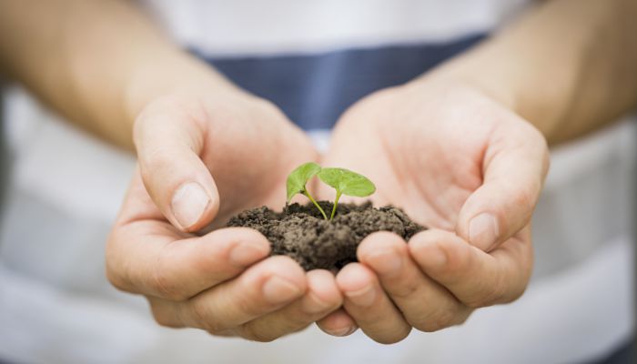 植树节的由来和意义 植树节起源简历