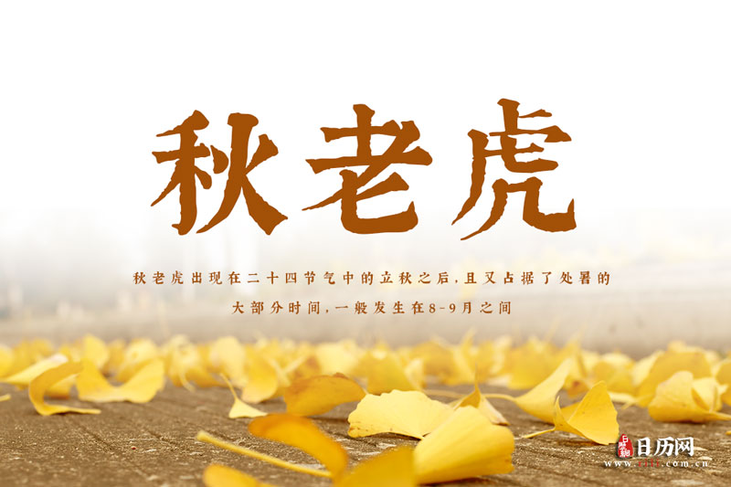 秋老虎从什么时候开始