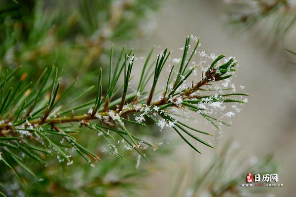 二九一共多少天
