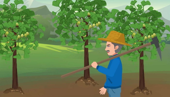 2023年是多少个植树节 2023年3月12日是第几个植树节