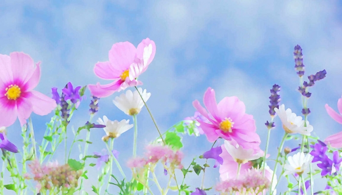 闰二月给老人买什么好 闰二月给长辈买什么