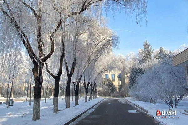 2023年三九天时间表最新