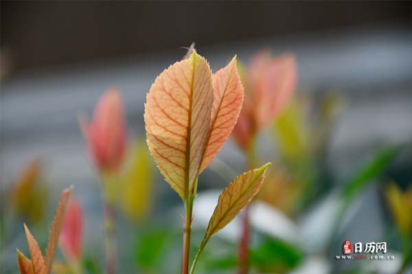 末伏天结束后还热不