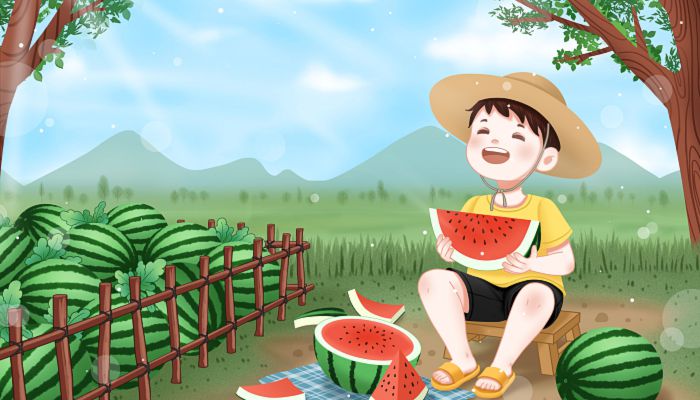 夏至北方一般吃什么食物 北方夏至节气吃什么食物