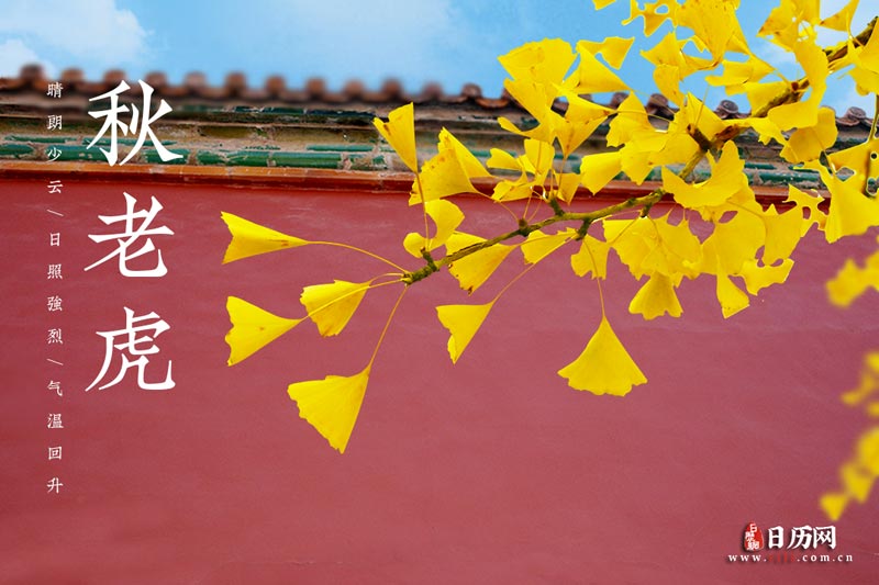 秋老虎是什么意思