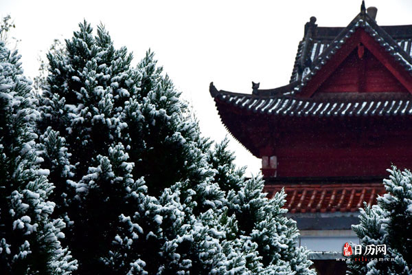 从什么时候开始数九天