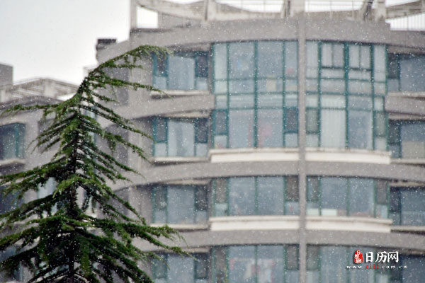 2023年三九第一天是几号