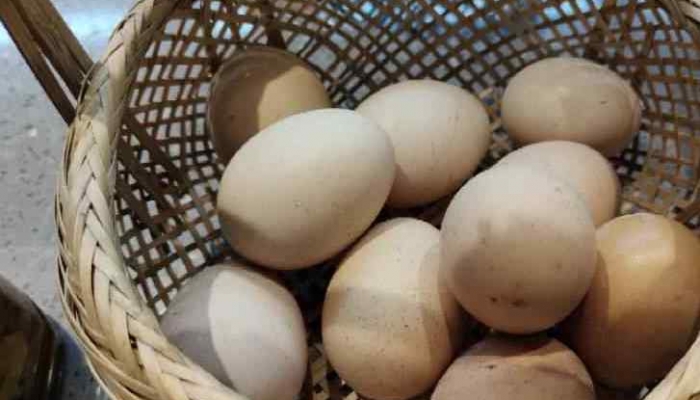 春分竖蛋怎么做 春分竖鸡蛋的小技巧