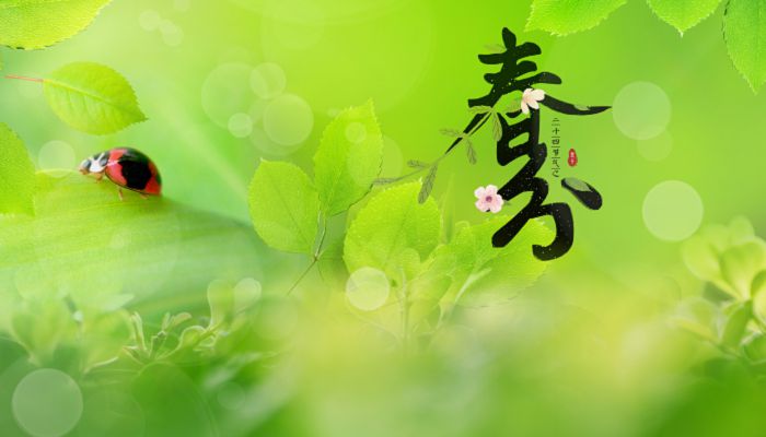 春分是春天的开始吗 春分是春天的开始还是春天的结束