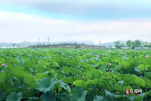 初伏,中伏,末伏是什么意思