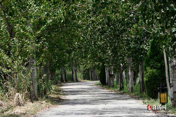 中伏和末伏的区别在哪里