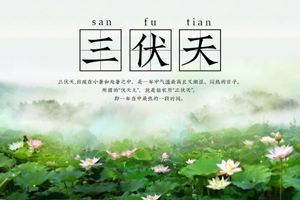 三伏天是什么意思,为啥叫三伏天
