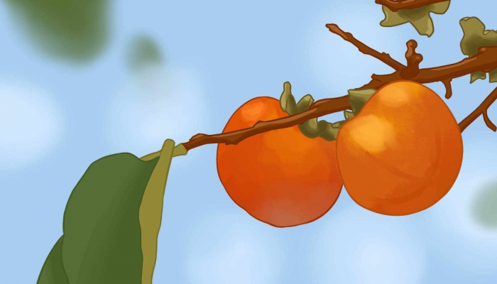 霜降吃什么食物养生 霜降养生必吃的7种食物