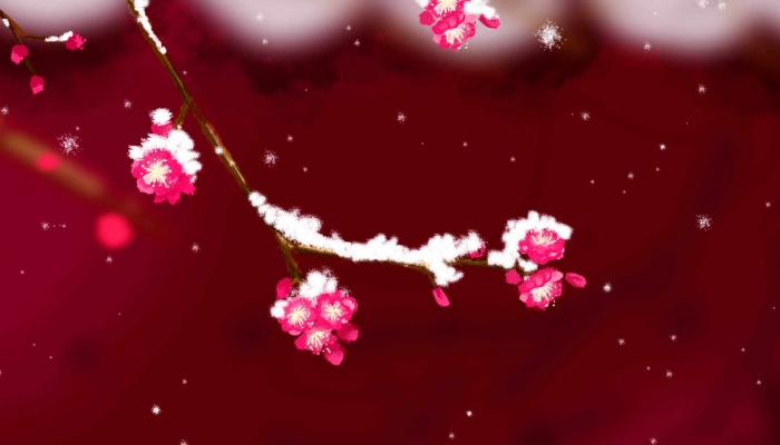 长沙橘子洲梅花什么时候开 橘子洲梅花在哪个区域