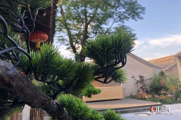 三伏灸怎么做,要连做几天