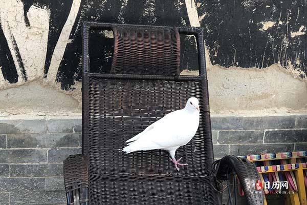 三伏天末伏还热吗