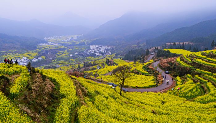 逢九年怎么算 逢九年是怎么看的