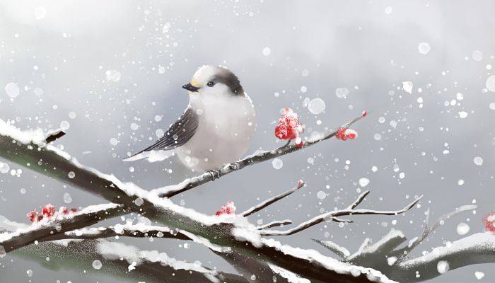 小寒适宜吃什么 小寒禁忌吃什么