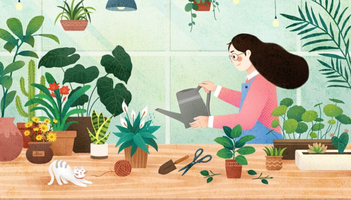 春分三候是什么意思 春分三候分别是哪三候