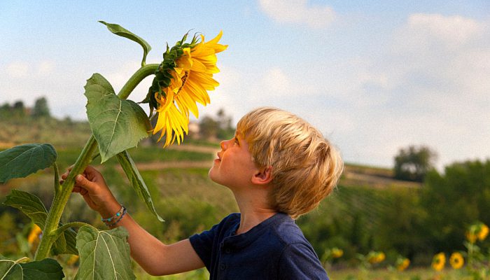 2023年11月生子黄道吉日一览表