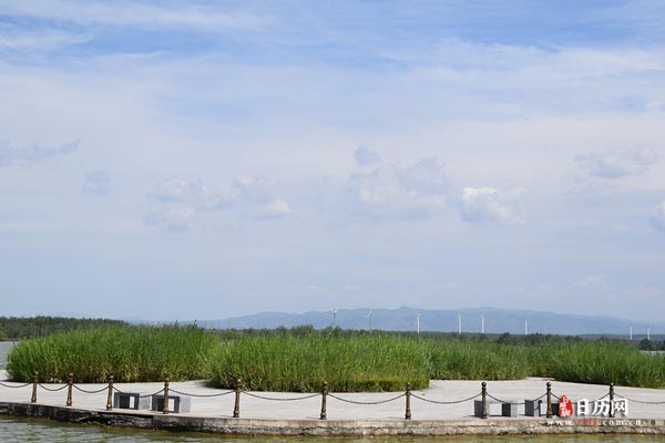 中伏防暑小常识,记得收藏!