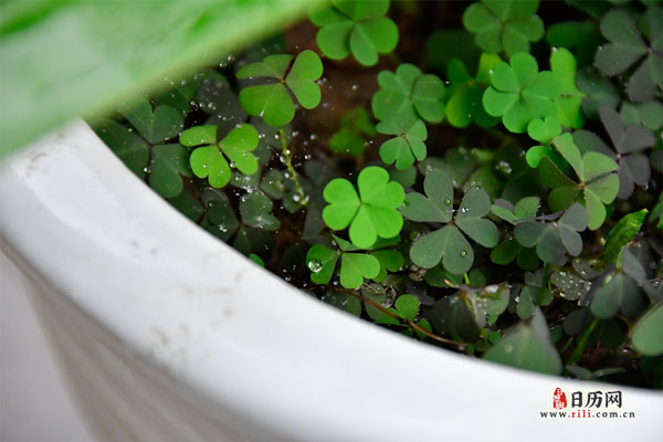 入伏下雨民间有什么说法