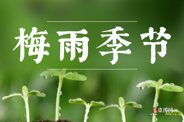 梅雨季节注意事项