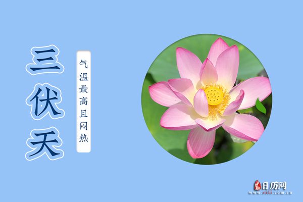 7月16日入伏,今年三伏天仍然40天