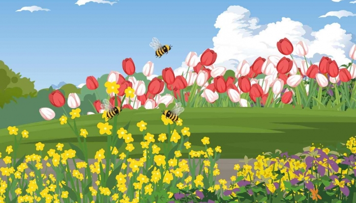 2023佛山清明节去哪里赏花 2023佛山清明节免费赏花好去处