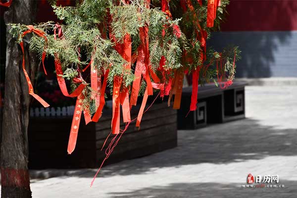 三伏天为什么叫三伏天