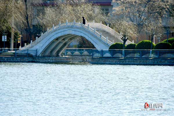 三伏贴怎么贴,多久贴一次,一次贴多久