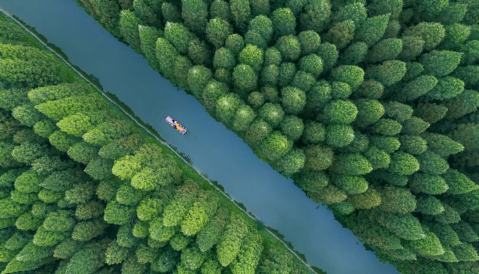 春分节气谚语 24节气春分谚语农谚大全