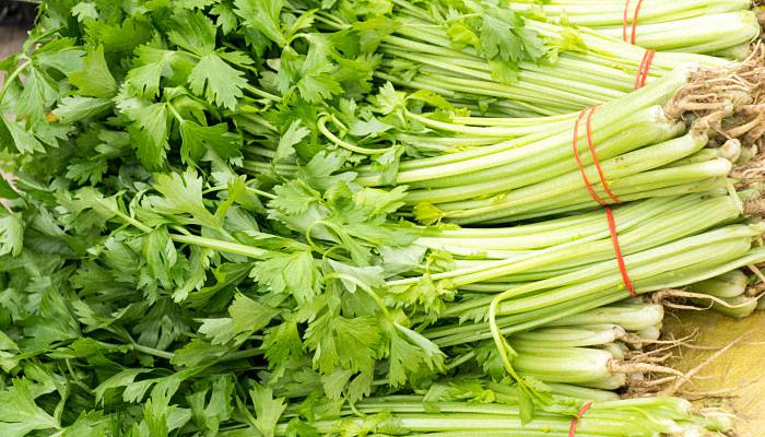 倒春寒吃什么好 倒春寒吃什么食物去寒气