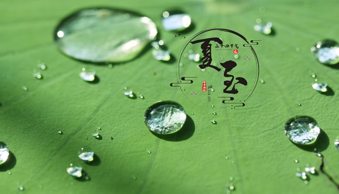 夏至的来历和风俗 二十四节气夏至的来历