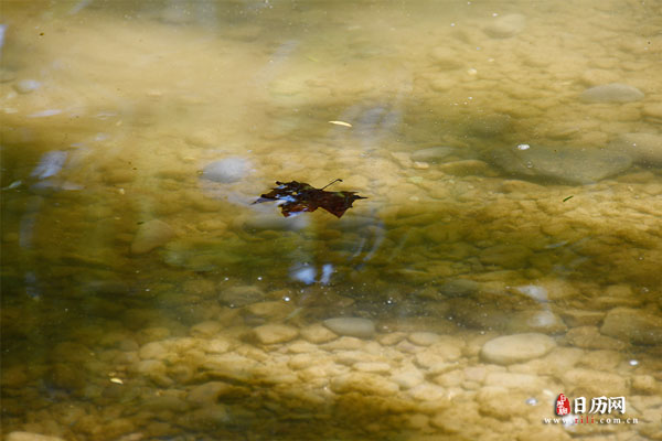 三伏天艾灸后多久可以洗澡