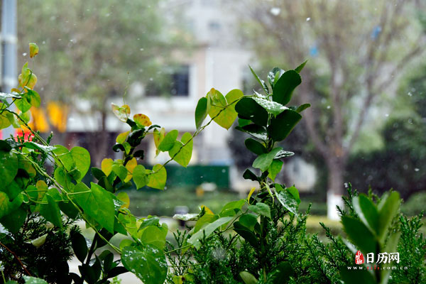 2023年三九天是几号开始几号结束