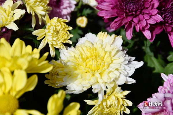 三伏贴贴多长时间取下