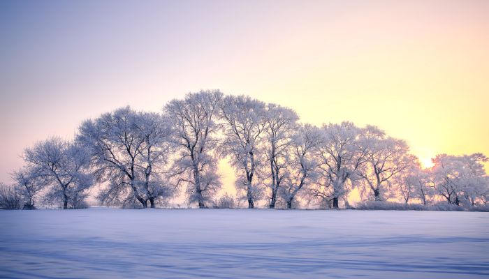 倒春寒对农业的影响有哪些 倒春寒对农业生产有哪些危害