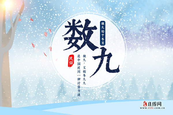 数九有几个九