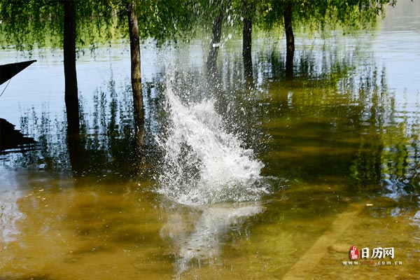 “三伏天”热,究竟热在哪