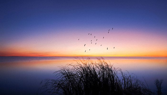 夏至的唯美句子 夏至的优美文案