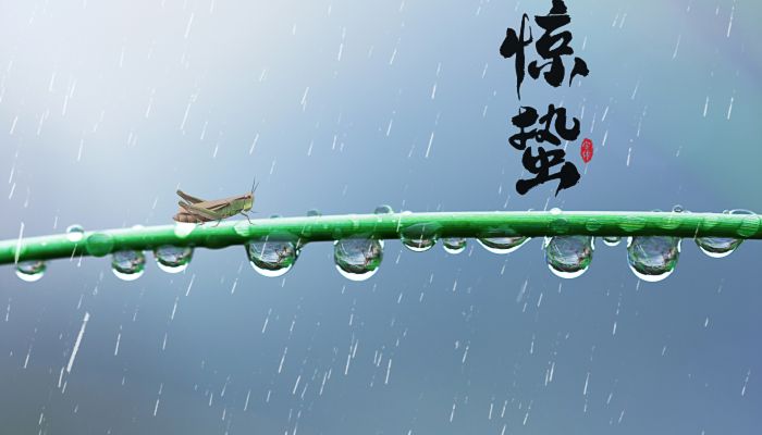 惊蛰有哪些传统习俗 二十四节气之惊蛰习俗盘点