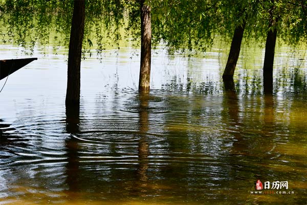 三伏是末伏最热吗